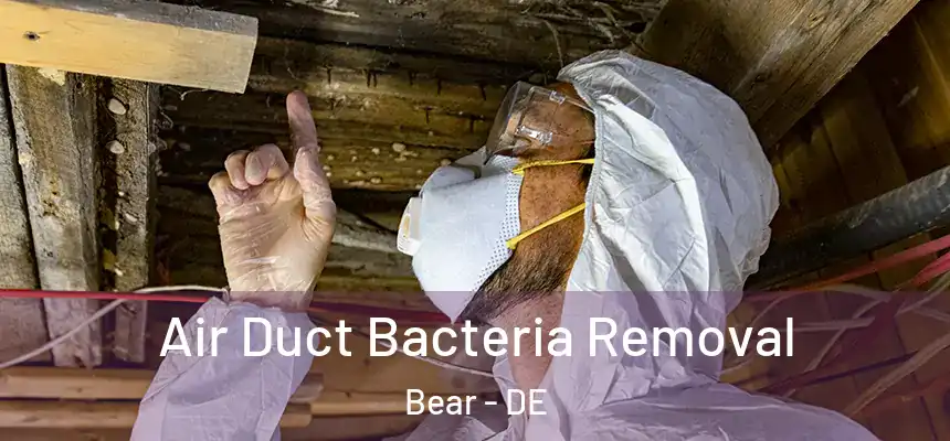  Air Duct Bacteria Removal Bear - DE
