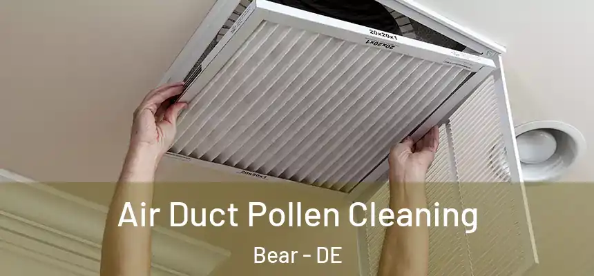  Air Duct Pollen Cleaning Bear - DE