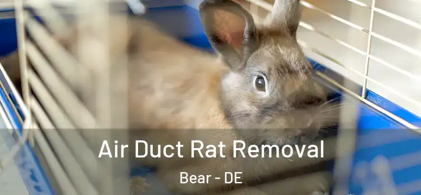 Air Duct Rat Removal Bear - DE