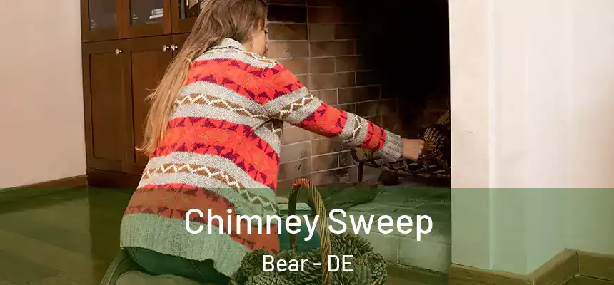 Chimney Sweep Bear - DE