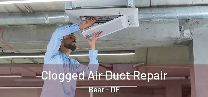 Clogged Air Duct Repair Bear - DE