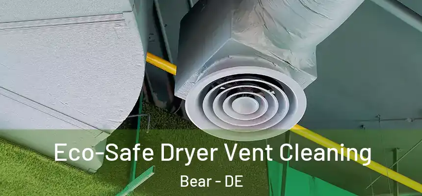  Eco-Safe Dryer Vent Cleaning Bear - DE