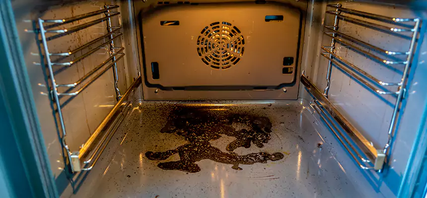 Our Dryer Vent Mold Cleaning Services in Bear, DE