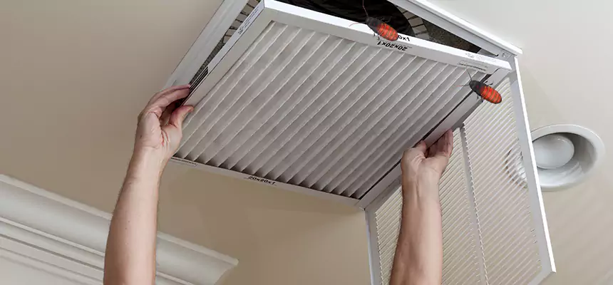 Our Insect Removal from Air Ducts Services in Bear, DE