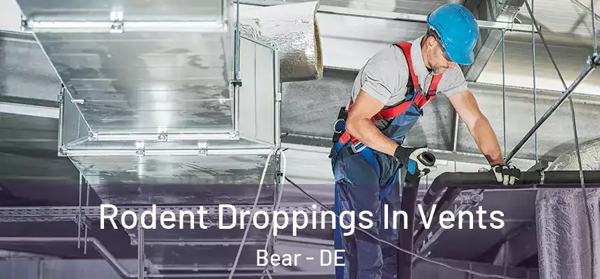  Rodent Droppings In Vents Bear - DE