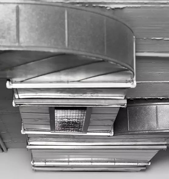 Professional Air Duct Pest Removal in Bear, DE