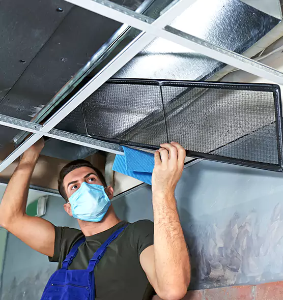 Professional Air Duct Pollen Cleaning in Bear, DE