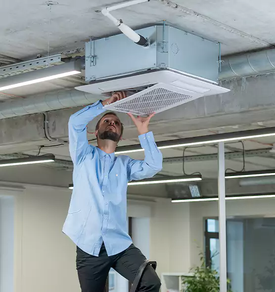 Advanced Rodent Droppings In Vents in Bear, DE
