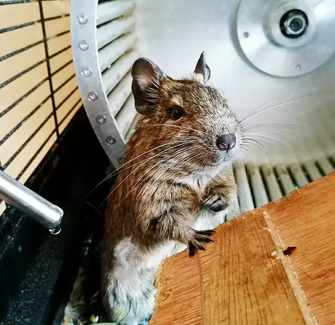 Why Homeowners & Businesses Trust Us Bear, DE