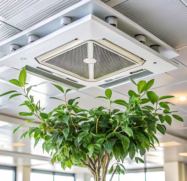 Why Homeowners & Businesses Trust Us in Bear, DE?