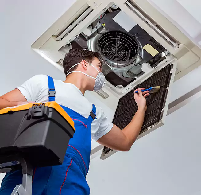 Why Homeowners & Businesses Trust Us in Bear, DE?