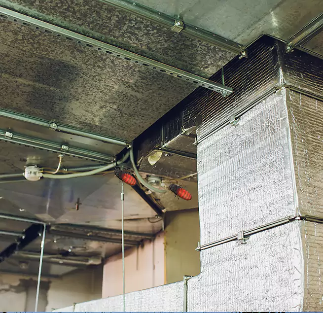 Why Homeowners & Businesses Trust Us Bear, DE?