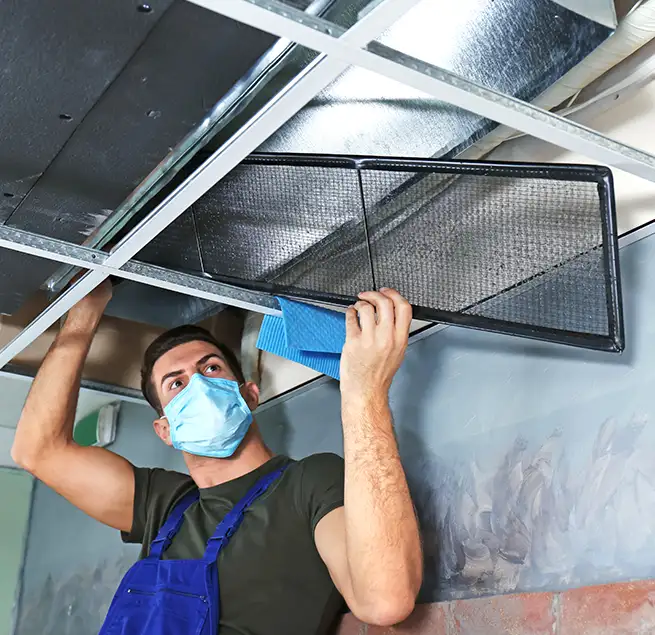 Why Homeowners & Businesses Trust Us in Bear, DE?