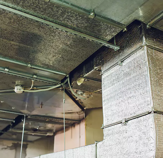 Why Homeowners & Businesses Trust Us in Bear, DE?