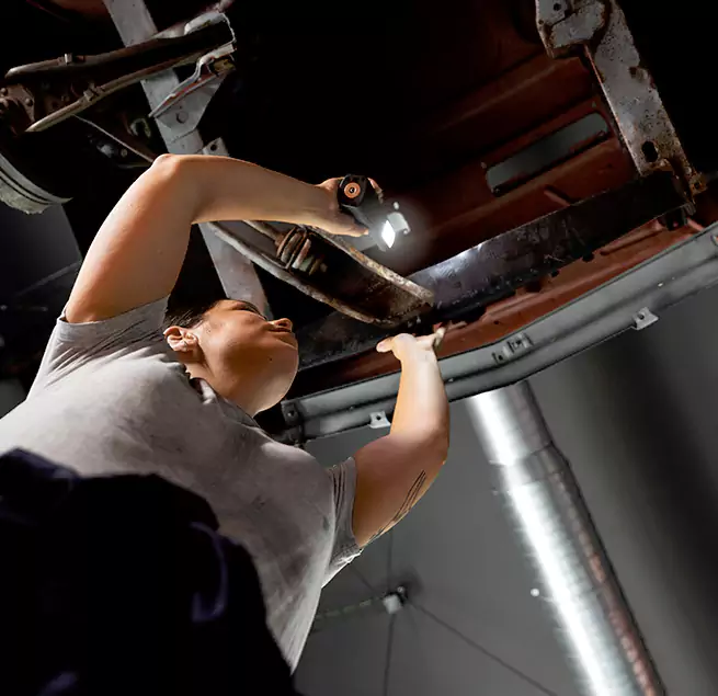 Why Homeowners & Businesses Trust Us Bear, DE