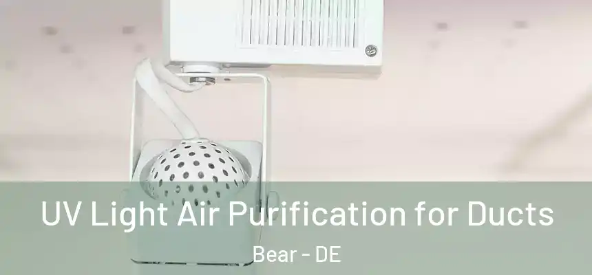UV Light Air Purification for Ducts Bear - DE