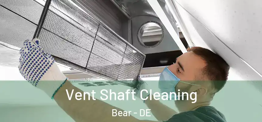  Vent Shaft Cleaning Bear - DE